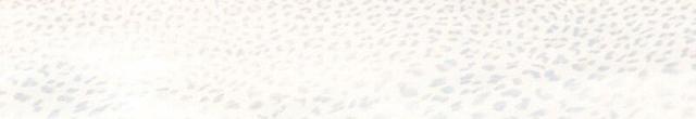 530307 Bianco Lapp/Rett
