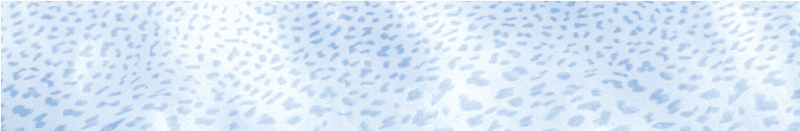 530382 Ocean Blu Lapp/Rett