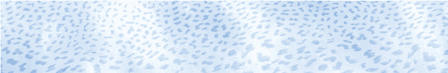 530382 Ocean Blu Lapp/Rett