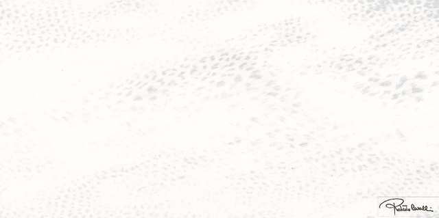 530309 Bianco Rett Firma