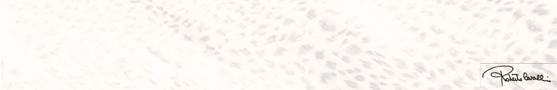 530311 Bianco Lapp/Rett Firma