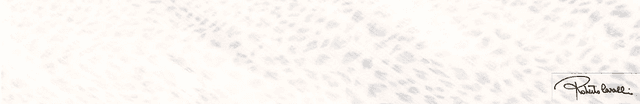 530311 Bianco Lapp/Rett Firma