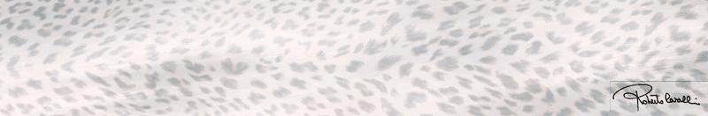 530341 Grigio Lapp/Rett Firma