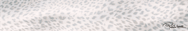 530341 Grigio Lapp/Rett Firma