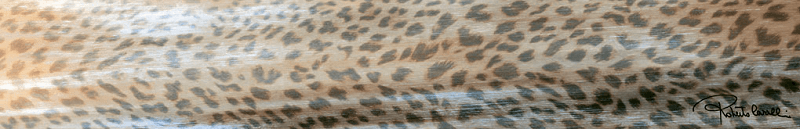 530356 Multicolor Lapp/Rett Firma