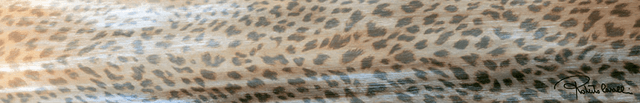 530356 Multicolor Lapp/Rett Firma