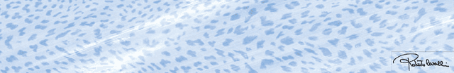 530386 Ocean Blu Lapp/Rett Firma
