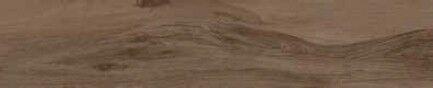 Cinnamon ret. 100