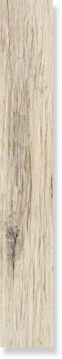 800712 Xilema Larice