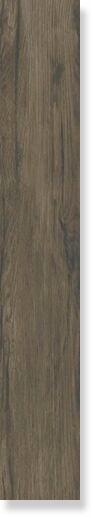 0800732 Xilema Wenge