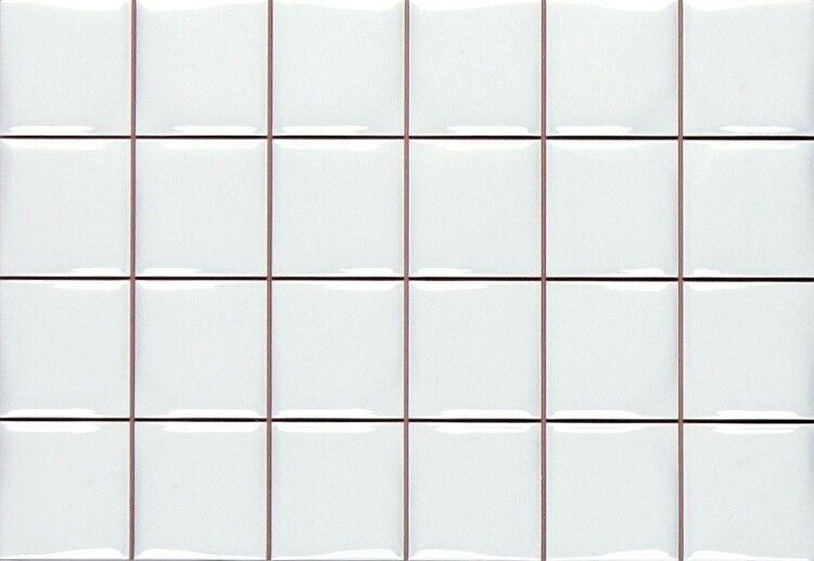 Novum white