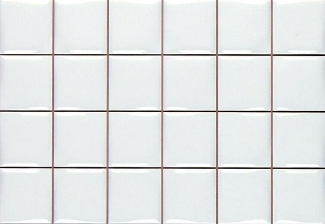 Novum white
