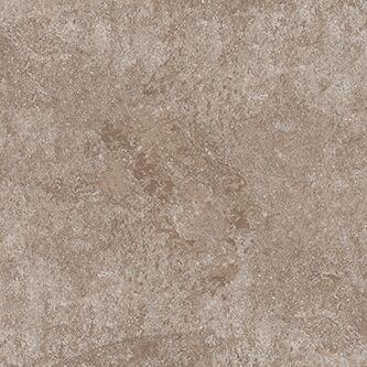Dynasty Walnut