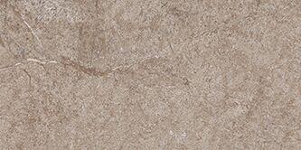 Dynasty Walnut
