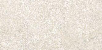 Dynasty White