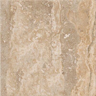 Regis Tortora 58725