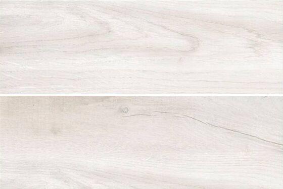Life Artic Porcelanico