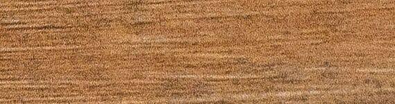 Forest Rodapie Marron