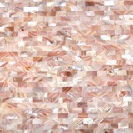 Pink SEA Shell