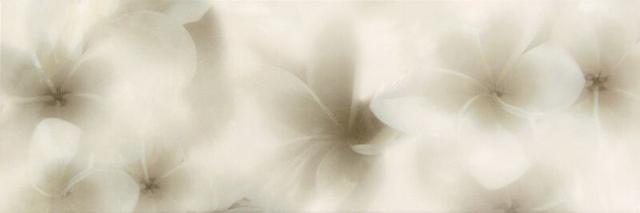 Decor Seda Blanco