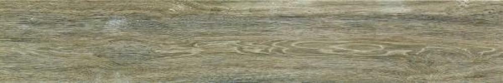 Wood161V