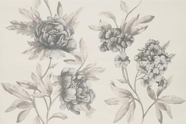 Imperfetto Pearl Flore MLXK