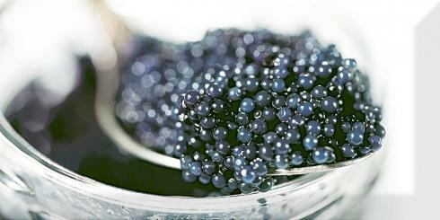 Decor Black Caviar 03