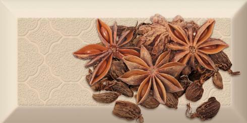 Decor Spices 04 B