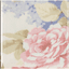 https://cms.xplit.ru/uploads/items/51595/100/edfe529e8dd13042335343e5cc012388e9d83a74.png