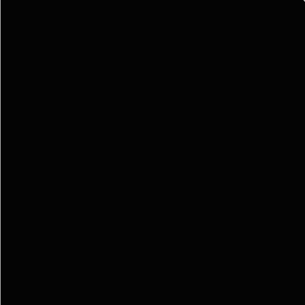 Colorgloss Negro