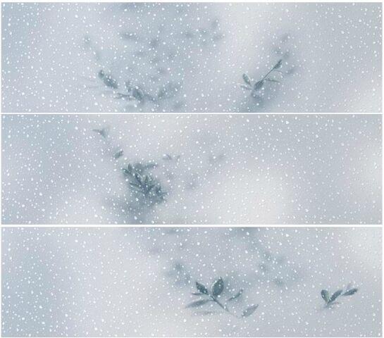 Decor Reborn Sky