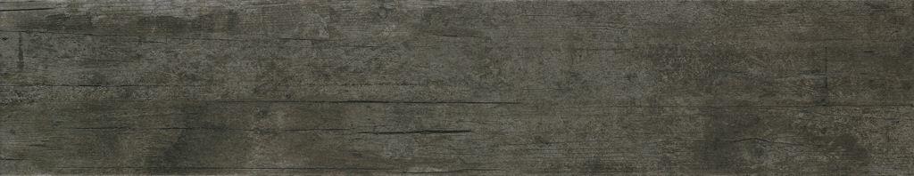 Endor Gris