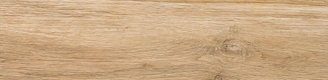 Oak Cream