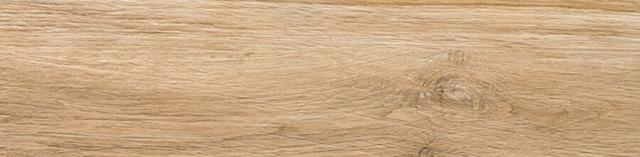 Oak Cream