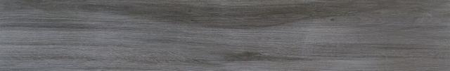 Charisma Black RC