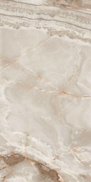 SP6134P Onyx Prestige Anticato