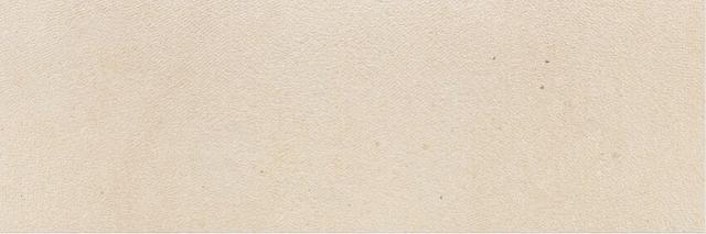 Avenue Beige