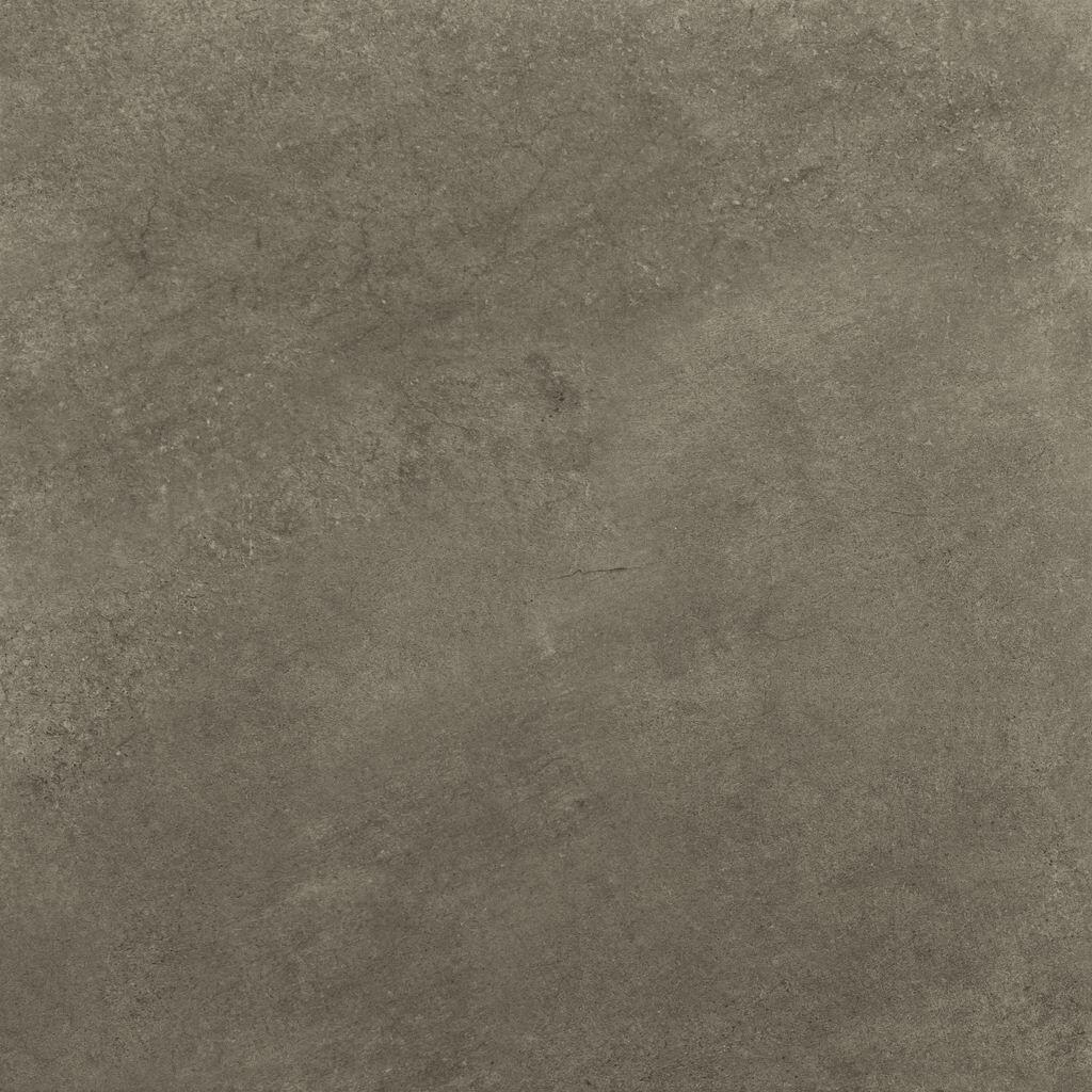 Arene Gris