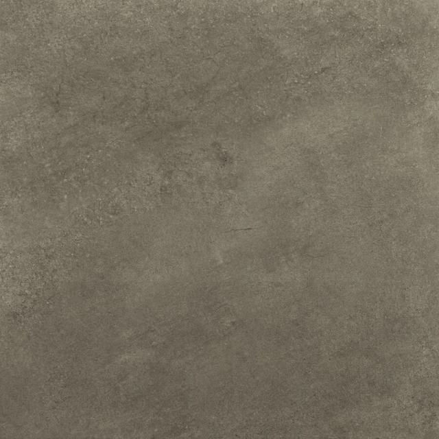 Arene Gris