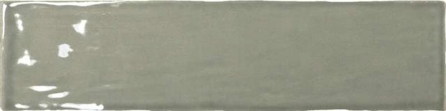 21319 Masia Olive