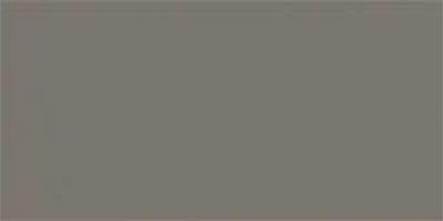 20915 Gris Oscuro Brillo