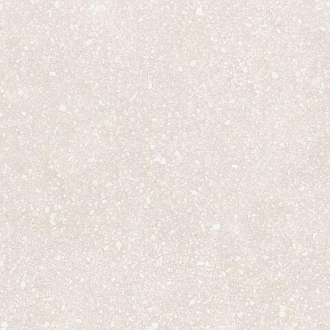 23539 Bone