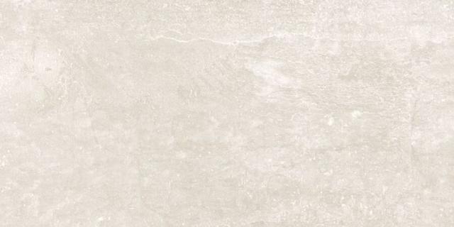 Ground R3060 Snow