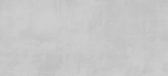 Citizen Gris