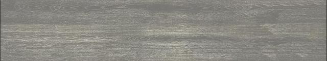 Baer Gris