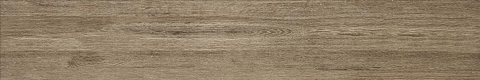 Baer Beige