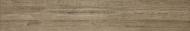 Baer Beige