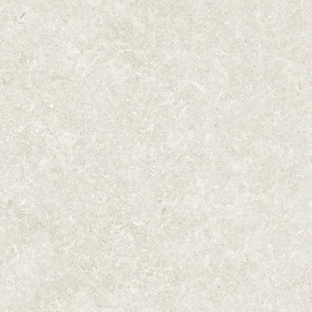 Bone Rect.