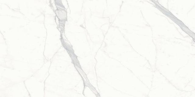 Statuario Altissimo Shiny