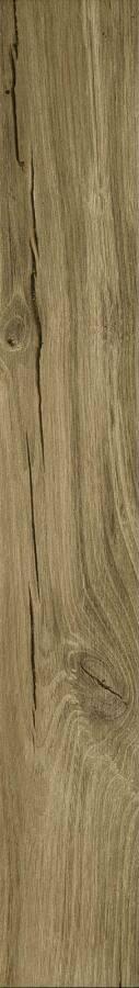 M006 Treverkfusion Brown